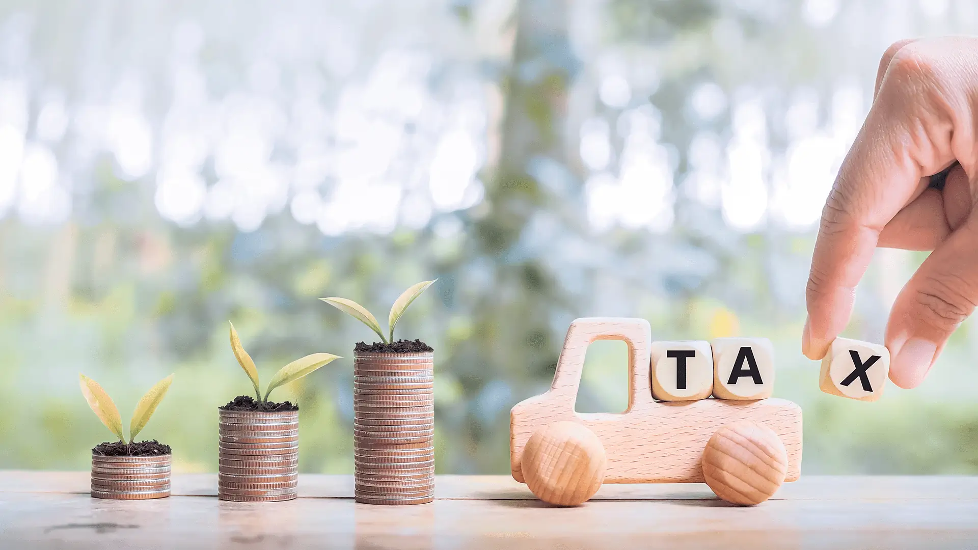 Coins with plants, wooden truck, tax blocks.